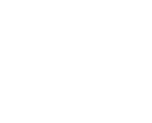GRUPO FIR